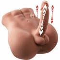 XISE Bertlett Model Anatomiczny z Systemem Ruchu 18 cm, Pozycja Przednia