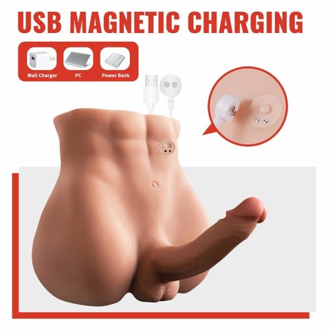 XISE Bertlett Model Anatomiczny z Systemem Ruchu 18 cm, Pozycja Przednia
