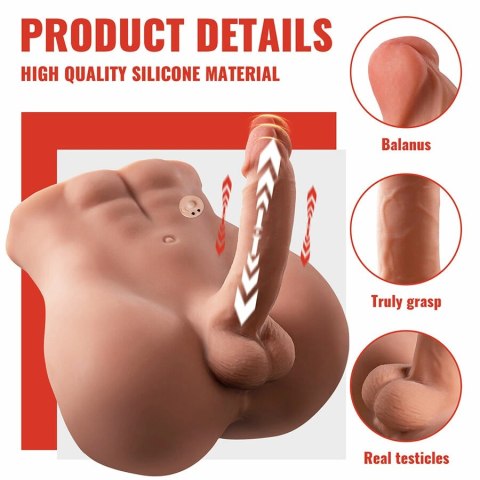XISE Bertlett Model Anatomiczny z Systemem Ruchu 18 cm, Pozycja Przednia