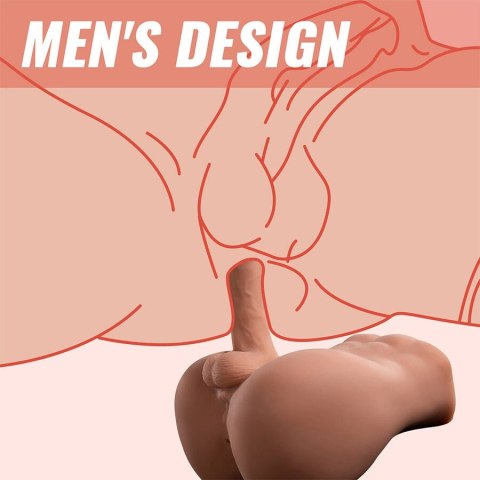 XISE Bertlett Model Anatomiczny z Systemem Ruchu 18 cm, Pozycja Przednia