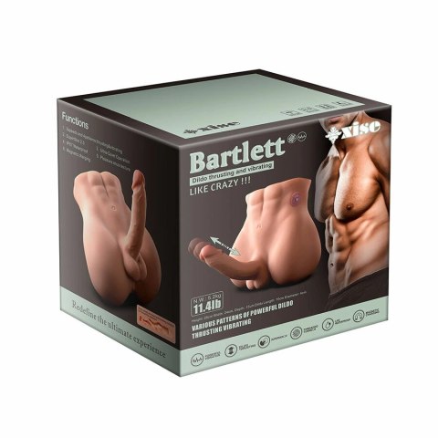 XISE Bertlett Model Anatomiczny z Systemem Ruchu 18 cm, Pozycja Przednia
