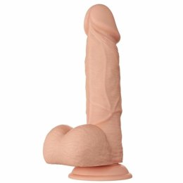 Baile Bahamut elastyczny model anatomiczny 21,8 cm naturalny z przyssawką