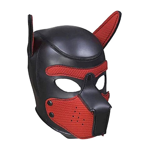 Ouch! Puppy Play Kit L/XL - skorzany zestaw akcesoriow neoprenowych Ouch! Puppy Play Kit L/XL - skorzany zestaw akcesoriow neoprenowych