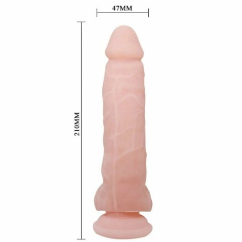 Baile Model Super Realistyczny - Elastyczny TPR, 21,5 cm z Przyssawką