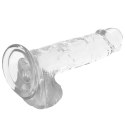 XRAY X Ray Clear 20 cm - przezroczysty model z kulkami, materiał Jelly