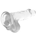 XRAY X Ray Clear model z kulkami przezroczysty 15,5 cm O 3,5 cm