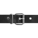 Harness Attraction Taylor Deluxe uprząż z wymiennym modułem 18x4,5 cm