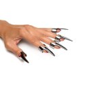 XR Brands Claw Ring zestaw 5 stalowych pierścieni regulowanych