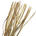 Fetish Submissive Origin pejcz wegański skora 28 cm czarny