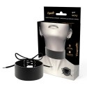 Coquette Chic Desire Choker z wegańskiej skory, regulowany, czarny