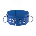 Red Leather - Skorzany Naszyjnik Blue, regulowany, szeroki 5,5 cm