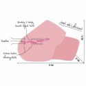 Hidden Desire Bangers Torso Juicy Sucking - System wibracji i ssania 4 kg