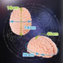 Seiraku Toys XTC Japan Brain Hacker DX Peach - zaawansowana maszyna intymna, 7 stref