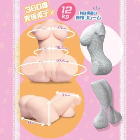 Seiraku Toys Ultimate Aska Mai Torso Peach 12kg anatomiczny model
