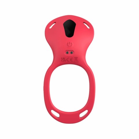 Teazers Harness Red - Intymny System Wibrujący z Pilotem USB