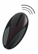 Anal Power Thrusting Vibrator - model z funkcją ruchu posuwistego, 37 cm