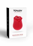 Ravishing Rose Air Pulse Stimulator 10 trybow, silikonowy, rożowy