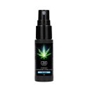 Pharmquests Shots perfumy z feromonami dla mężczyzn CBD 15 ml