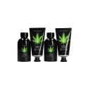 PharmQuests Zestaw Olejkow CBD Shots - Rożne Smaki, 10x2ml