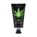 PharmQuests Zestaw Olejkow CBD Shots - Rożne Smaki, 10x2ml