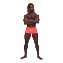 Male Power Barely There Mini szorty M - anatomiczny kroj, czarne