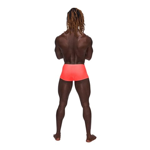 Male Power Barely There Mini szorty M - anatomiczny kroj, czarne Male Power Barely There Mini szorty M - anatomiczny kroj, czarne