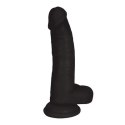 Curve Toys Model z Anatomicznymi Wypukłościami 20,5 cm Przyssawka PVC