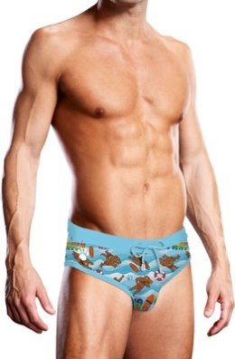 Prowler Gaywatch Bears kąpielowki męskie figi L kolorowa plaża