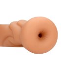 Shots S-Line Model Intymny Anatomiczny TPR Analny 8714273051608