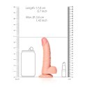 RealRock Zakrzywiony model z jądrami i przyssawką 15,5 cm - anatomiczny silikon