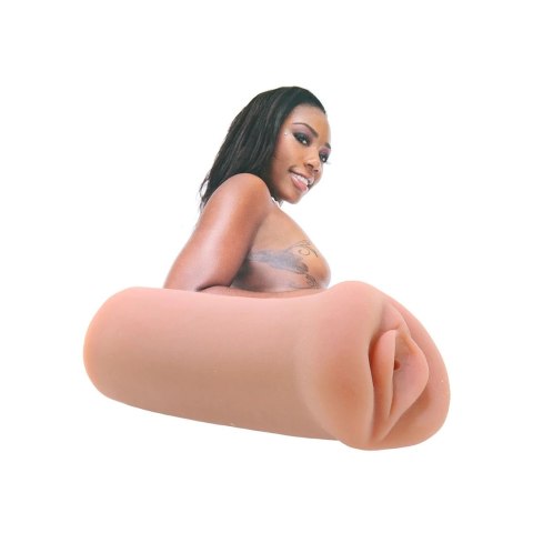 Star Strokers Chanell Heart model anatomiczny z wieloteksturową powierzchnią Star Strokers Chanell Heart model anatomiczny z wieloteksturową powierzchnią