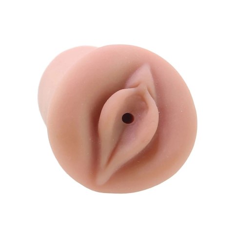 Star Strokers Chanell Heart model anatomiczny z wieloteksturową powierzchnią Star Strokers Chanell Heart model anatomiczny z wieloteksturową powierzchnią