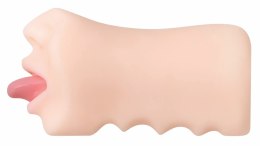 Evolved Real Mouth model anatomiczny z realistyczną powierzchnią 16 cm
