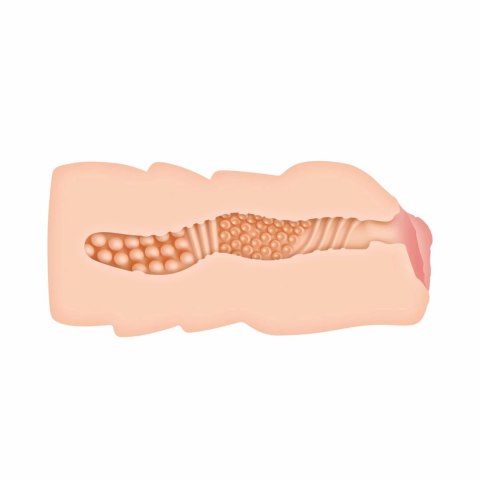 Evolved Tori Black model anatomiczny z uchwytem TPE 21 cm Evolved Tori Black model anatomiczny z uchwytem TPE 21 cm