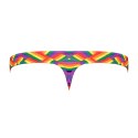 Male Power Pride Fest Stringi Bong T-Back Kolorowy Nisko Zabudowane