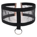 Sportsheets Sheer Day Collar czarna z karabińczykiem i aksamitną wstążką