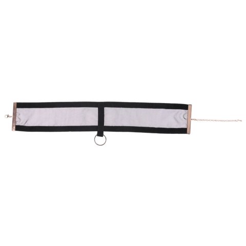 Sportsheets Sheer Day Collar czarna z karabińczykiem i aksamitną wstążką Sportsheets Sheer Day Collar czarna z karabińczykiem i aksamitną wstążką