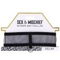 Sportsheets Sheer Day Collar czarna z karabińczykiem i aksamitną wstążką