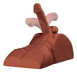 PDX Plus Perfect Ride Brown - Tors męski z ruchomym elementem, model anatomiczny