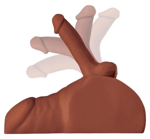 PDX Plus Perfect Ride Brown - Tors męski z ruchomym elementem, model anatomiczny PDX Plus Perfect Ride Brown - Tors męski z ruchomym elementem, model anatomiczny