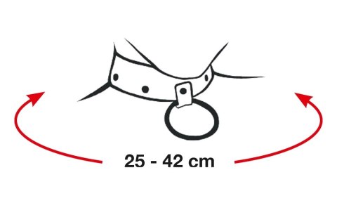 Bad Kitty Czarna Błyszcząca Obroża Anatomiczna Regulowana 25-42cm Bad Kitty Czarna Błyszcząca Obroża Anatomiczna Regulowana 25-42cm